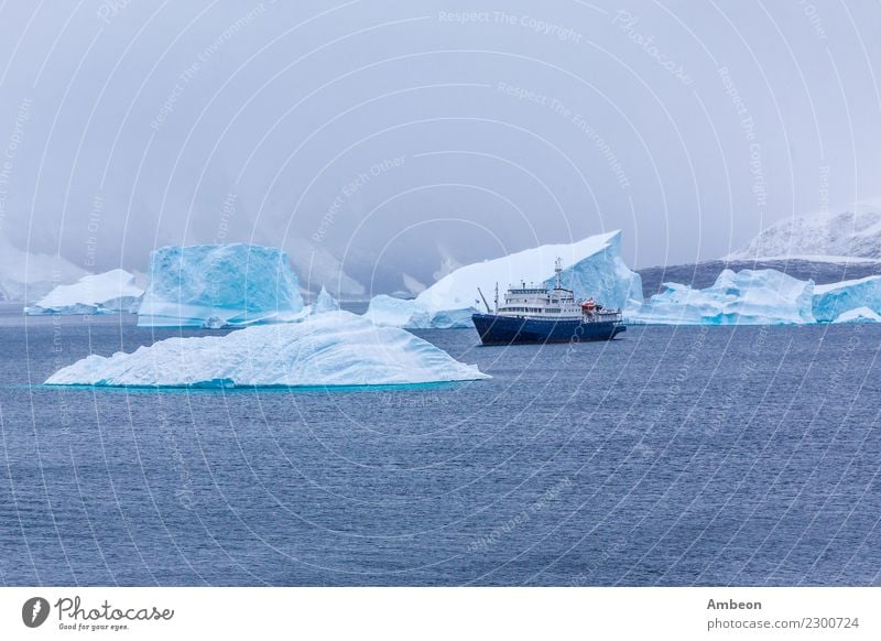 Snowfall and cruise liner among blue icebergs in Port Charcot Vacation & Travel Tourism Trip Adventure Far-off places Cruise Expedition Ocean Winter