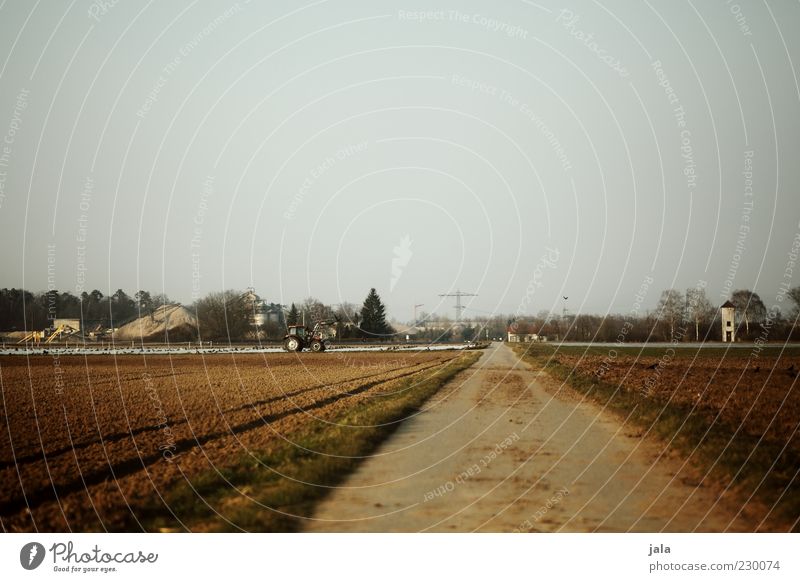 agriculture Nature Landscape Cloudless sky Plant Field Lanes & trails Tractor Work and employment Colour photo Exterior shot Deserted Copy Space top Day