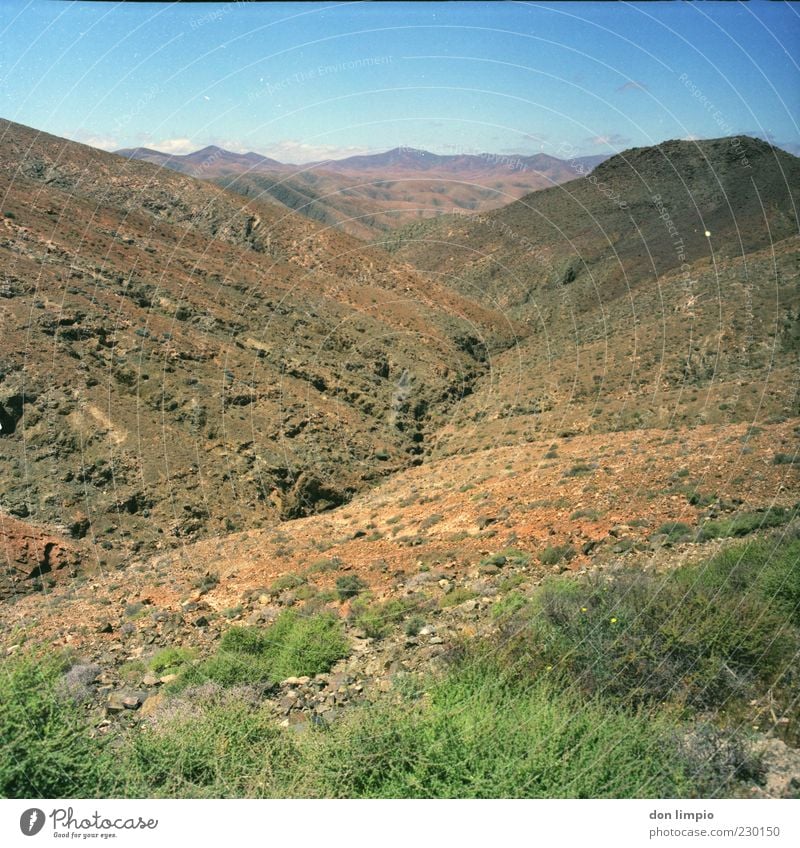 barranco de machin Far-off places Environment Landscape Summer Climate Beautiful weather Warmth Drought Bushes Hill Rock Island Fuerteventura Dry Nature