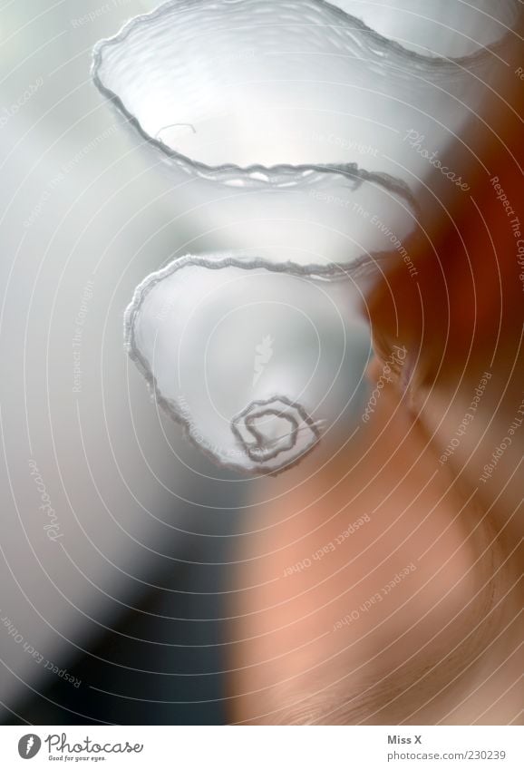 Curtain Roller Cloth Hang Esthetic Lace Coil Drape Meandering Undulation White Colour photo Close-up Abstract Deserted Shallow depth of field Worm's-eye view