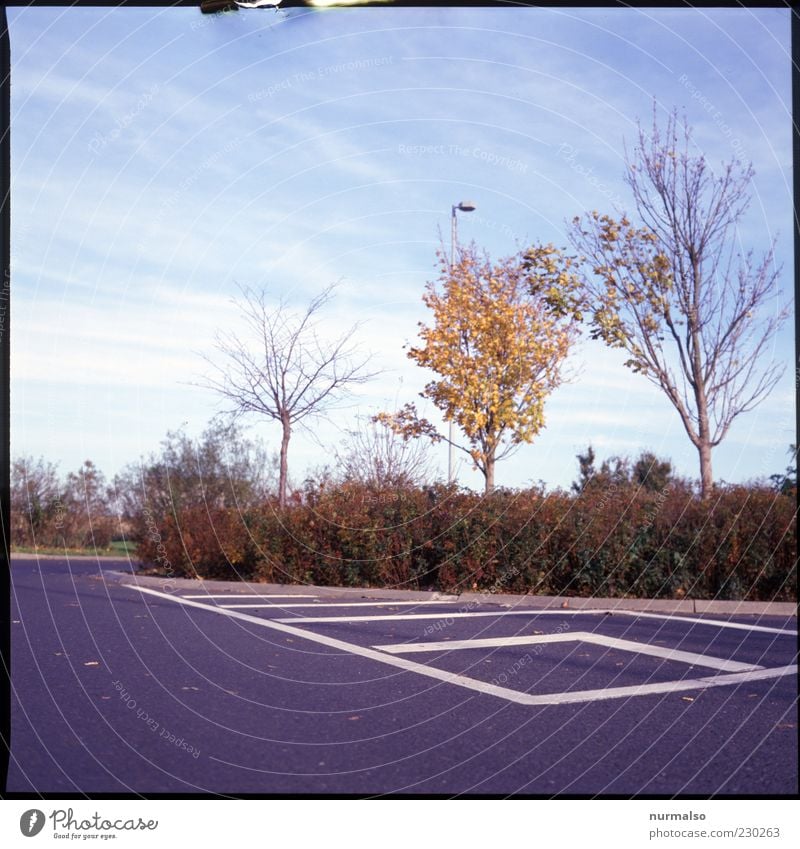 autumn rest Environment Nature Sky Autumn Beautiful weather Tree Transport Traffic infrastructure Curbside Resting place Signs and labeling Parking lot