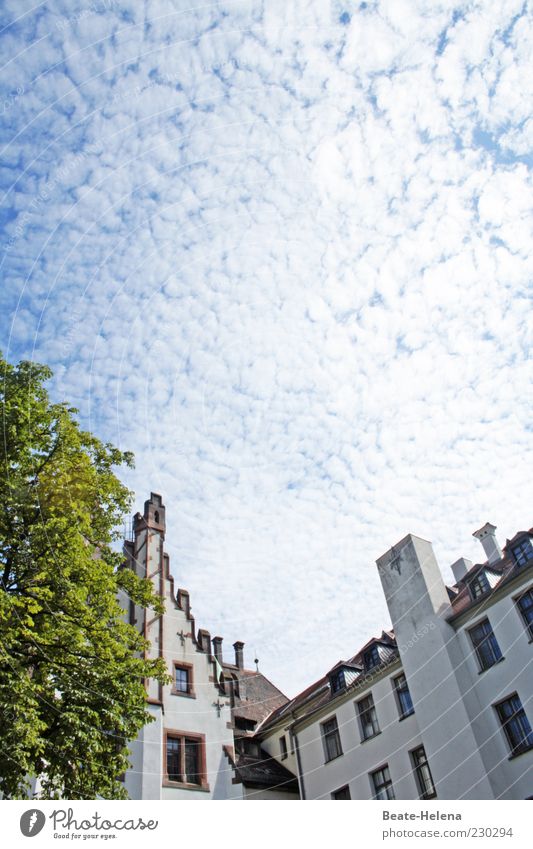 cheerful to cloudy House (Residential Structure) Environment Sky Clouds Summer Weather Beautiful weather Building Facade Esthetic Blue White Emotions