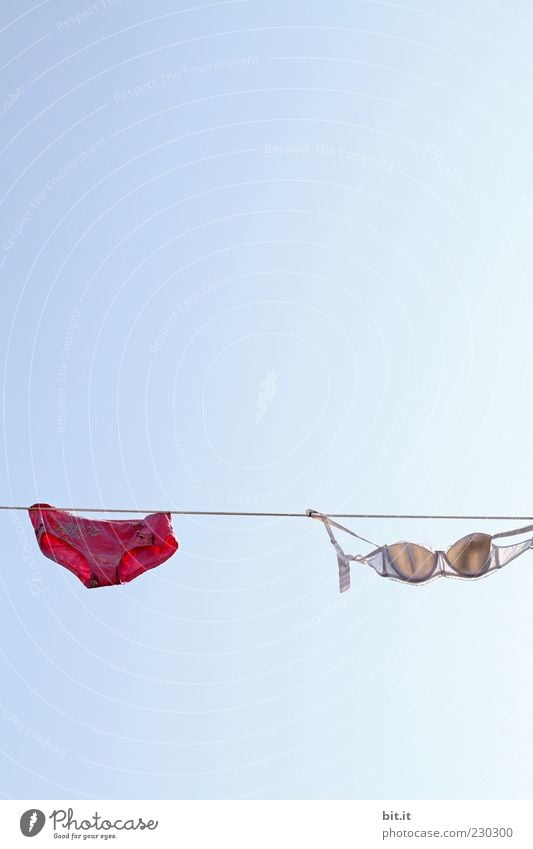 red part for men Clean Underwear Bra Underpants Laundry Colour photo Exterior shot Detail Deserted Copy Space left Copy Space right Copy Space top