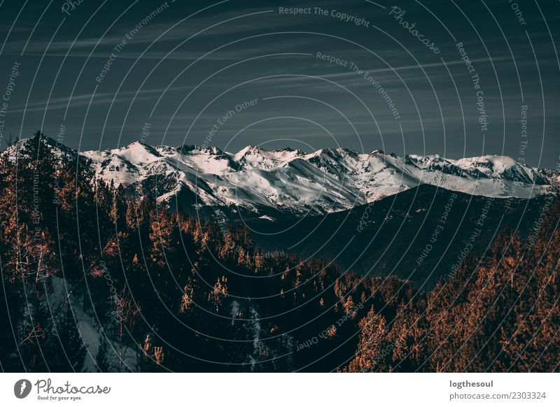 Snow Mountain Environment Nature Landscape Plant Elements Sky Cloudless sky Clouds Winter Tree Grass Park Field Rock Peak Emotions Moody Cool (slang) Safety