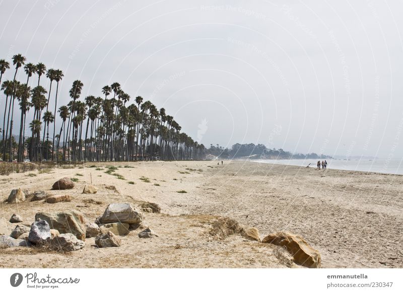 Santa Barbara Beach Summer vacation Ocean Landscape Sand Water Sky Weather Palm tree St. Barbara USA Stone Going Brown Longing Wanderlust Relaxation