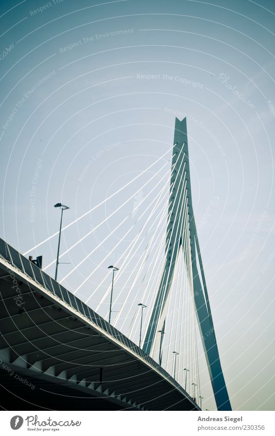 Erasmus brug Cloudless sky Beautiful weather Rotterdam Netherlands Erasmus bridge Transport Traffic infrastructure Bridge Cable-stayed bridge Street lighting