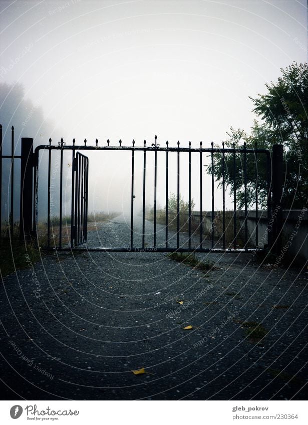 Doc #beach ll Nature Landscape Elements Air Sky only Autumn Climate Weather Beautiful weather Fog Beach boom Gate To enjoy Looking Joy Happiness ga645pro