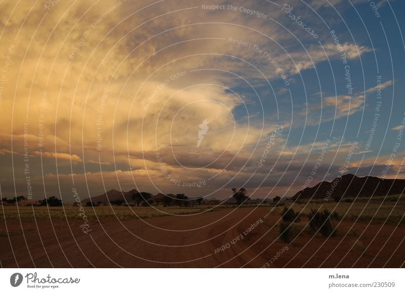 colorful clouds Landscape Air Sky Clouds Summer Weather Mountain Desert Soussusvlei Namibia Deserted Street Lanes & trails Sand Esthetic Authentic Exceptional