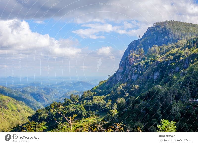 Ella rock, Sri Lanka Tea Beautiful Vacation & Travel Tourism Summer Mountain Hiking Nature Landscape Sky Clouds Tree Forest Virgin forest Hill Rock Railroad