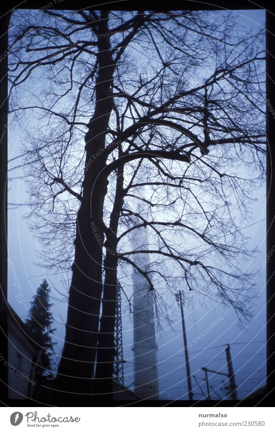 Industry Environment Winter Bad weather Fog Tree Deserted Industrial plant Factory Authentic Dark Creepy Cold Trashy Gloomy Dream Sadness Bizarre