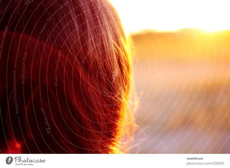 hairy sunset Trip Summer Summer vacation Sun Sunbathing Hair and hairstyles 1 Human being Environment Nature Sunrise Sunset Sunlight Beautiful weather Brunette