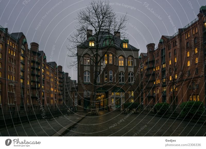 Speicherstadtidylle: moated castle at Teehandelskontor Tree Bushes Hamburg Capital city Downtown Old town House (Residential Structure) Castle Building