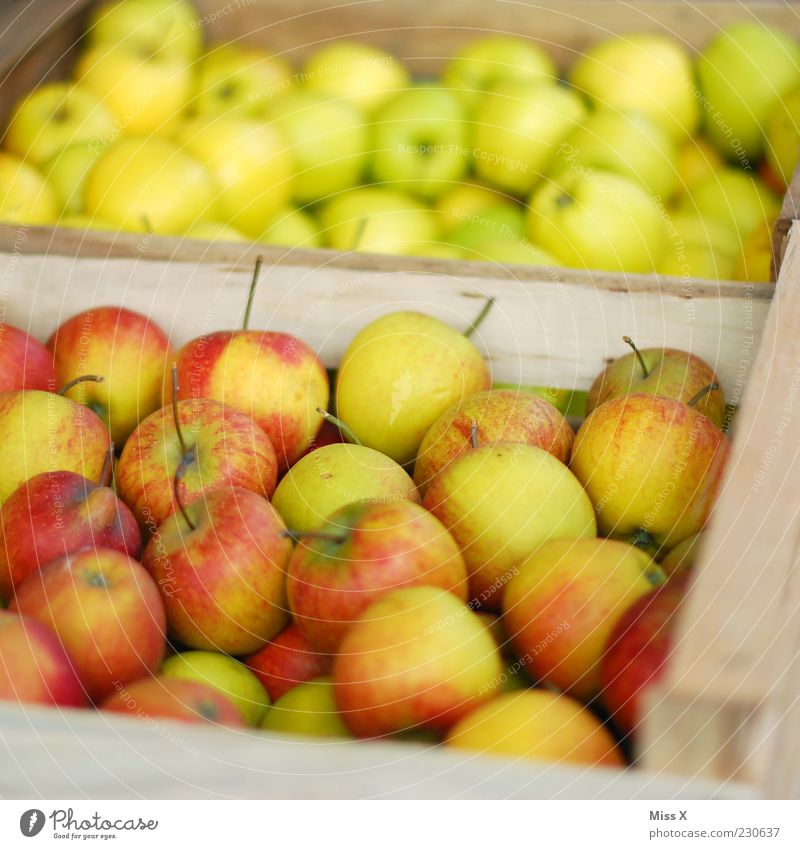 in the box Food Fruit Apple Nutrition Fresh Sour Sweet Healthy Healthy Eating Organic produce Harvest Apple harvest Wooden box Box of fruit Farmer's market