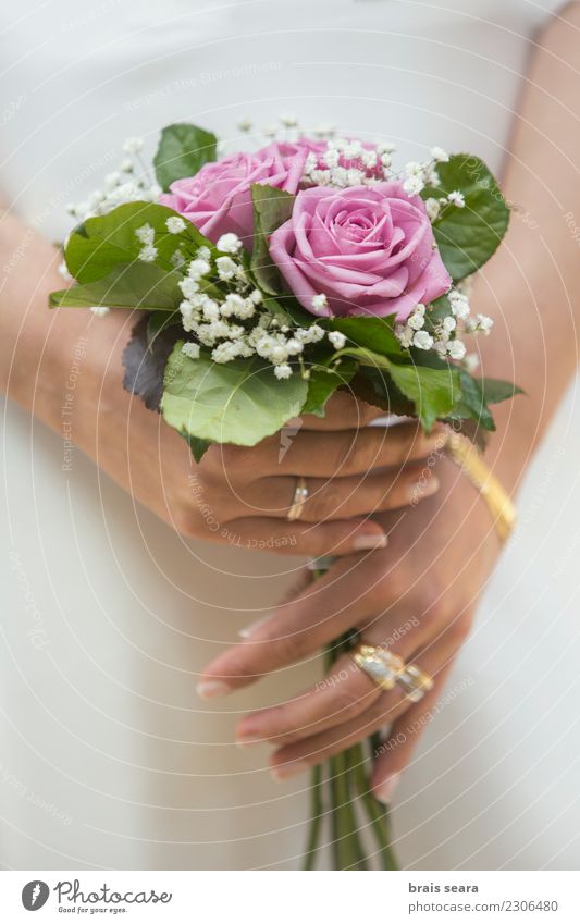 woman holding a wedding bouquet Lifestyle Elegant Style Design Beautiful Body Manicure Event Feasts & Celebrations Wedding Feminine Woman Hand Fingers Flower