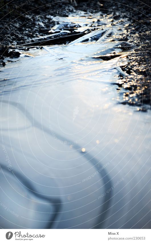 river Water Winter Weather Ice Frost Cold Smoothness Black ice Puddle Frozen Colour photo Subdued colour Exterior shot Close-up Abstract Pattern