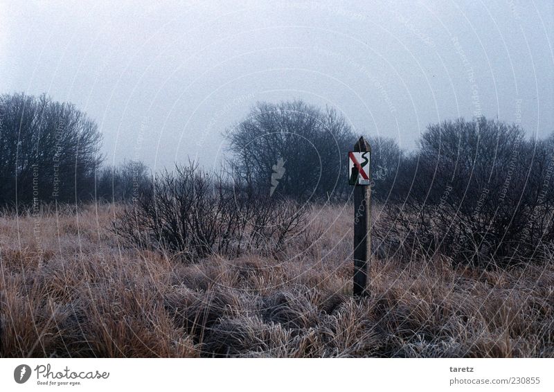 pass Environment Nature Landscape Plant Autumn Winter Bad weather Fog Grass Bushes Bog Marsh Fen High venn Sign Signs and labeling Signage Warning sign