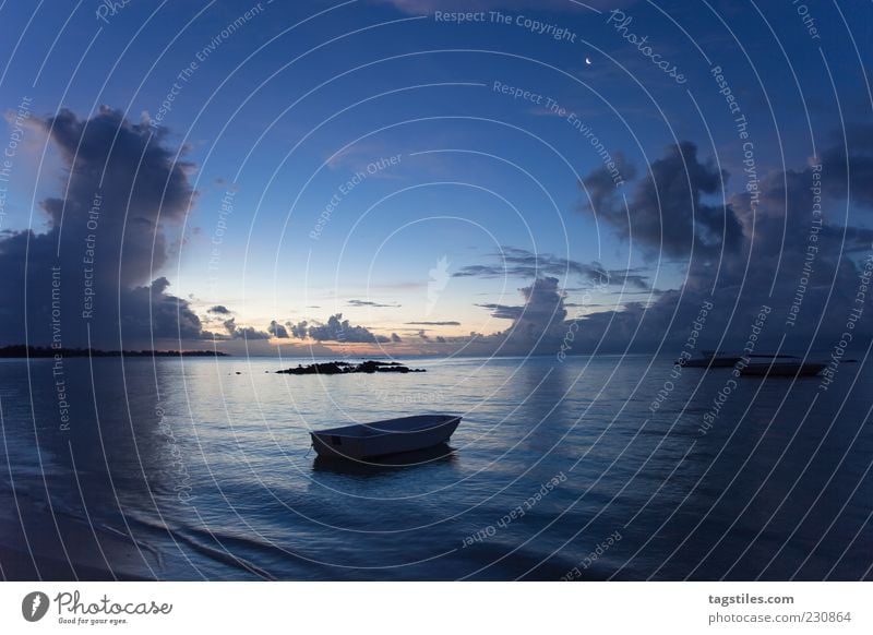 PONDERING SILENCE Watercraft Night Evening Blue Mauritius Vacation & Travel Leisure and hobbies Freedom Idyll Colour photo Dark Copy Space top Ocean Africa