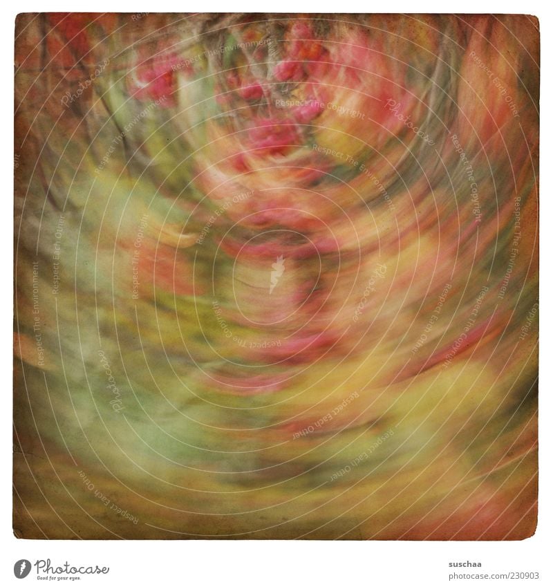 twisted world ... Environment Nature Plant Autumn Bushes Art Multicoloured Abstract Pattern Structures and shapes Deserted Motion blur Rotate Blur Autumnal