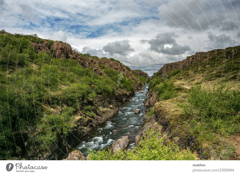 canyon Landscape Plant Sky Clouds Horizon Spring Beautiful weather Grass Bushes Rock Mountain Canyon River bank Wild Blue Brown Yellow Green White Iceland