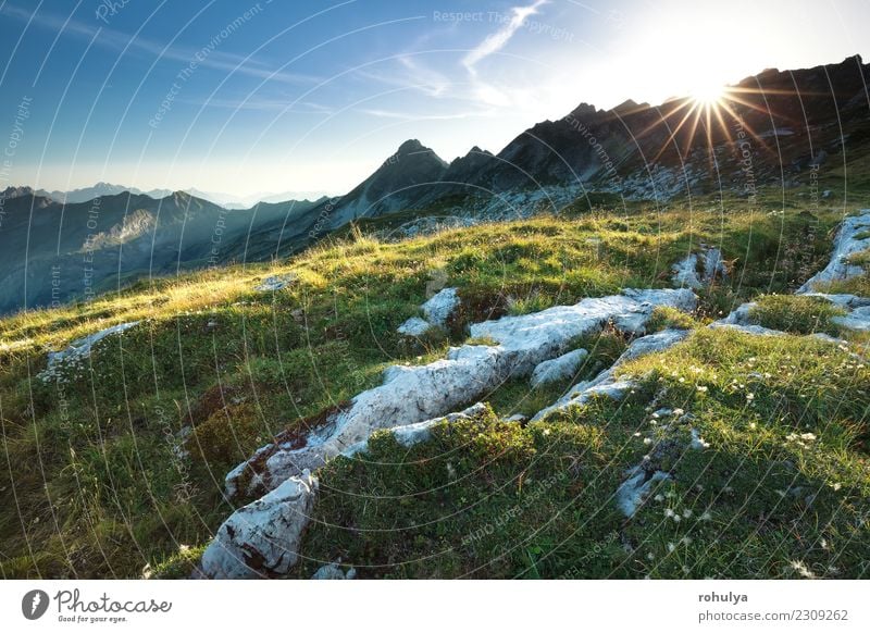 beautiful sunset in Allgaeu Alps in summer, Germany Beautiful Vacation & Travel Summer Sun Mountain Nature Landscape Sky Meadow Hill Rock Peak Stone Blue star