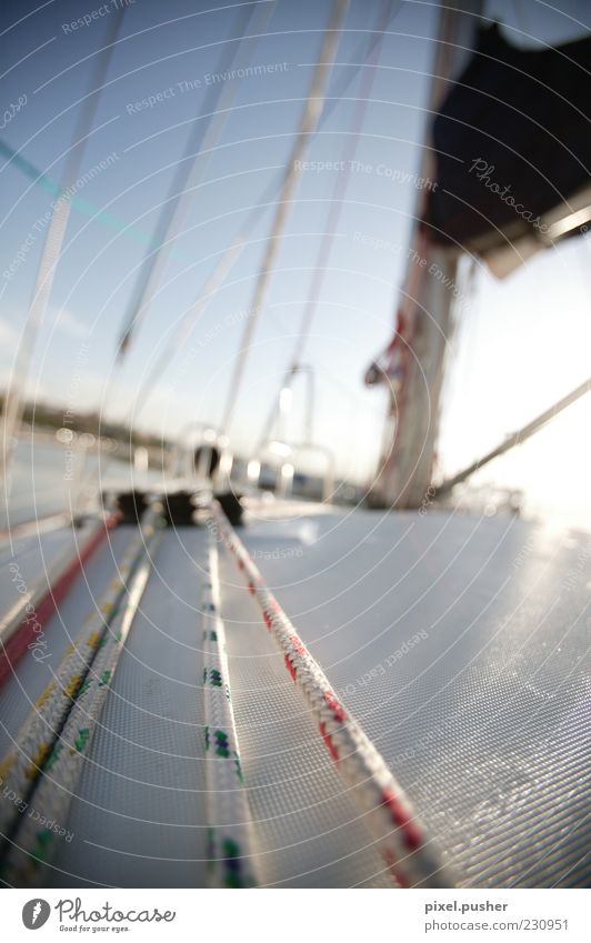 Sailing 03 Navigation Boating trip Sport boats Yacht Sailboat Sailing ship Watercraft Rope Blue White Relaxation Luxury Dream Colour photo Multicoloured