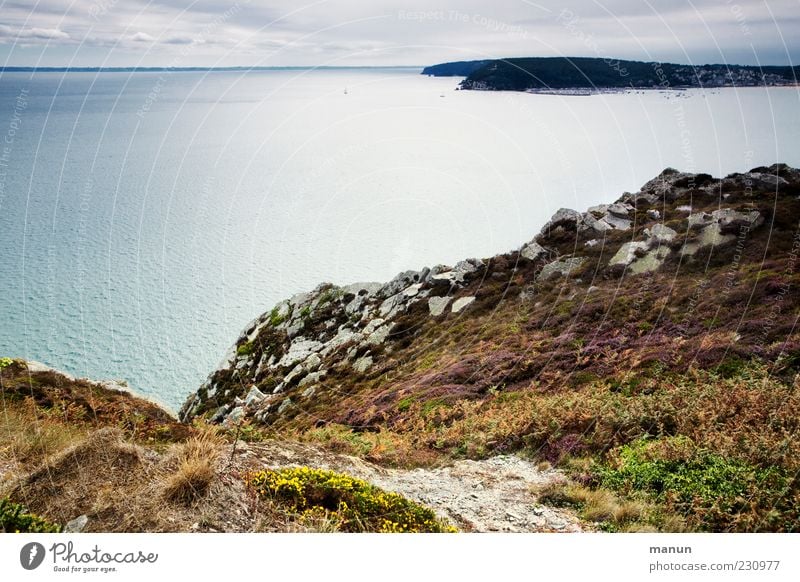 at the zöllnerpfad Nature Landscape Elements Earth Water Bushes Hill Rock Coast Reef Ocean Cliff Brittany Travel photography Authentic Fantastic Beautiful