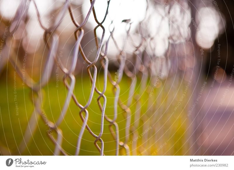 fence Nature Summer Aggression Authentic Sharp-edged Simple Creepy Historic Uniqueness Near Trashy Gloomy Wire netting fence Loop Selective Blur Barrier Border