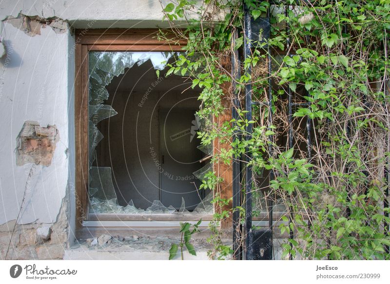 #230999 Deserted Ruin Facade Dirty Broken Apocalyptic sentiment Window Shard Window frame Window pane Overgrown Shatter glass break Plant Colour photo