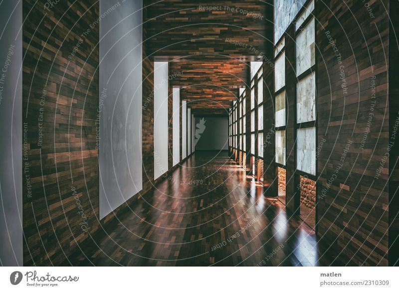 gang Deserted House (Residential Structure) Manmade structures Architecture Wall (barrier) Wall (building) Window Long Brown White Wood Parquet floor