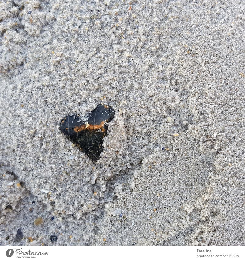 Naturally from the heart Environment Nature Elements Earth Sand Coast Beach Near Wet Brown Gray Black Stone Heart-shaped Stony Colour photo Subdued colour