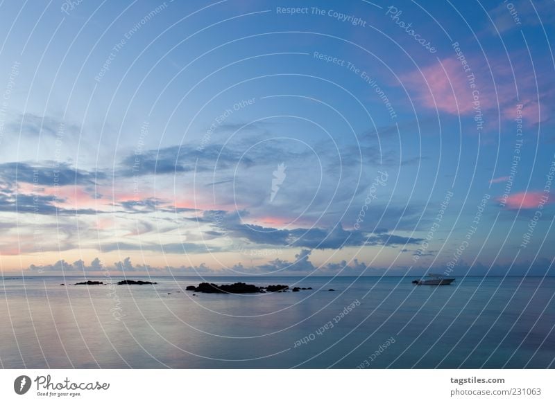 blue light Blue Evening Twilight Mauritius Africa Ocean Idyll Nature Paradise Coast Bay grand baie Clouds Sunset Surface of water Colour photo Sky Horizon