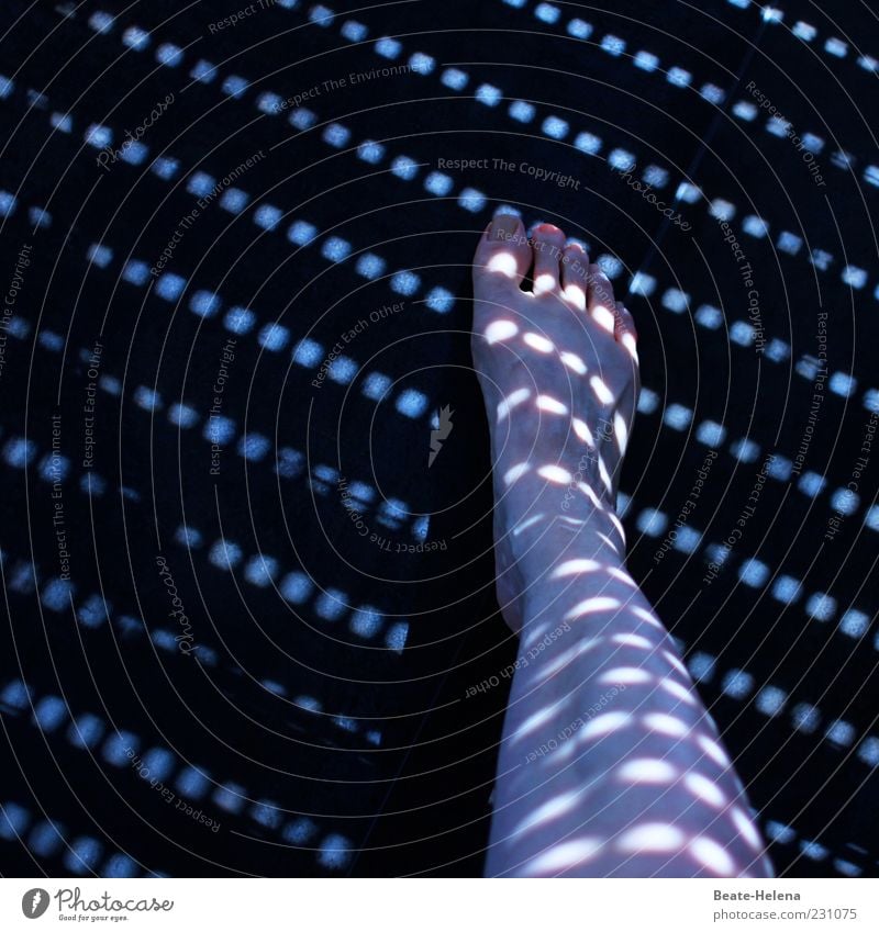 Striated by light 4 Feminine Woman Adults Legs Line Stripe Relaxation Stand Esthetic Elegant Blue Black Emotions Movement Shaft of light Shadow Streak of light