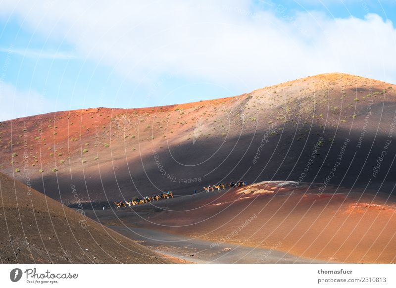 Volcano, Mountain, Caravan, Lancarote Vacation & Travel Tourism Trip Adventure Far-off places Expedition Crowd of people Landscape Sky Clouds Beautiful weather