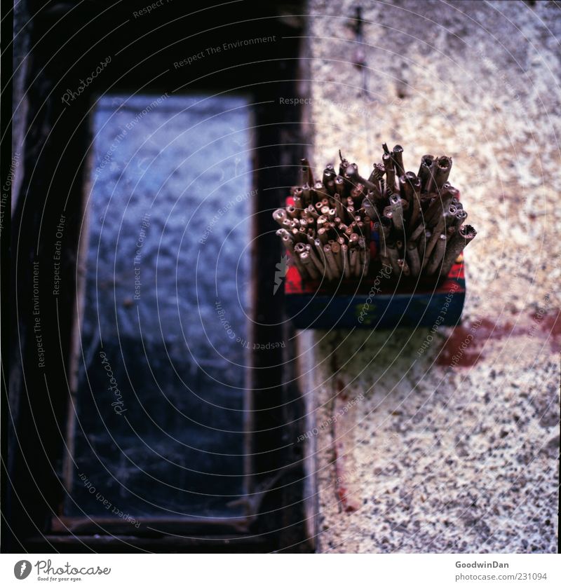 welcome cinnamon Wall (barrier) Wall (building) Facade Window Carton Cinnamon Old Exceptional Fragrance Good Gloomy Dry Moody Colour photo Exterior shot Detail