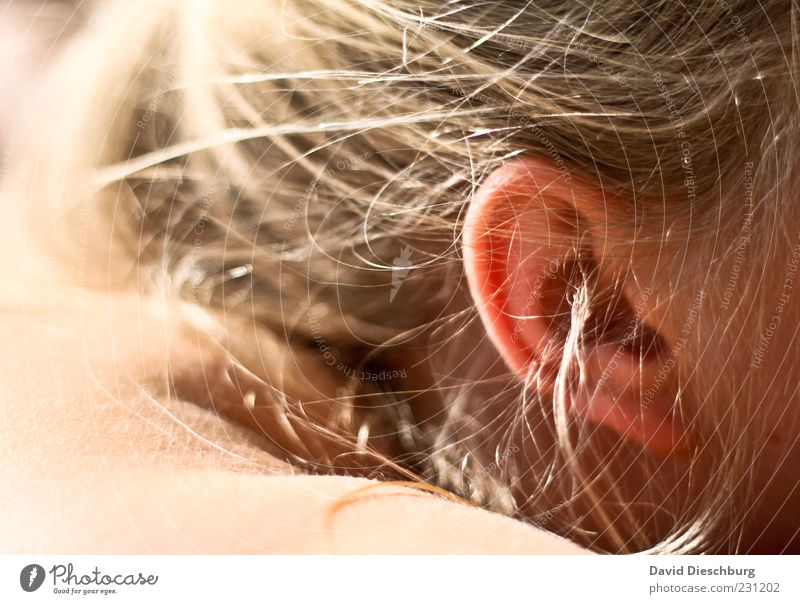 I can hear the summer! Feminine Young woman Youth (Young adults) Woman Adults Skin Head Hair and hairstyles 1 Human being Pink Ear Shoulder Sunbathing Summer