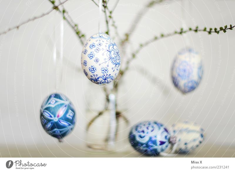 Easter eggs Hang Painted Delicate Fragile Blue-white White Pattern Bushes Twigs and branches Branch Vase Glass Decoration Spring Egg Eggshell Colour photo