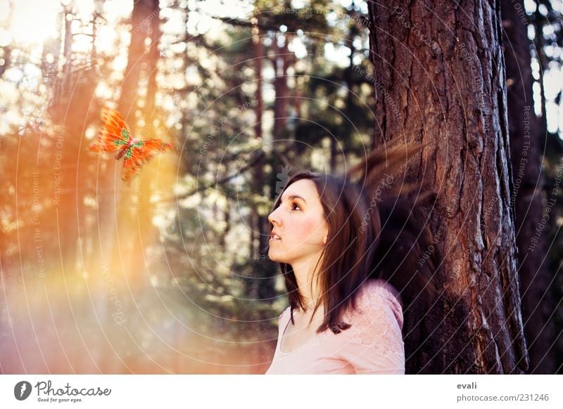 fly away with me Feminine Young woman Youth (Young adults) Woman Adults Head Hair and hairstyles Face 1 Human being 18 - 30 years Tree Forest Butterfly Animal