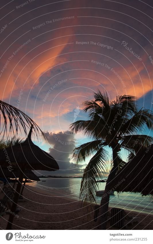 CLOUD PAINTINGS Mauritius Clouds Bank of clouds Evening Sunset Beach Ocean Relaxation Travel photography Nature Africa Paradise Heavenly Paradisical Palm tree