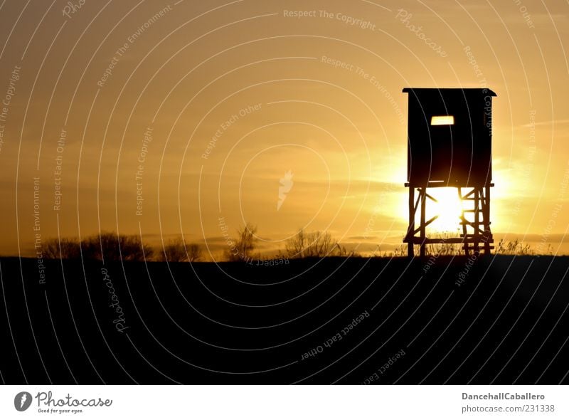 high seat at dusk Nature Landscape Sky Clouds Horizon Sun Sunlight Bushes Calm Hunting Blind Peaceful Wood Colour photo Exterior shot Deserted Evening Twilight