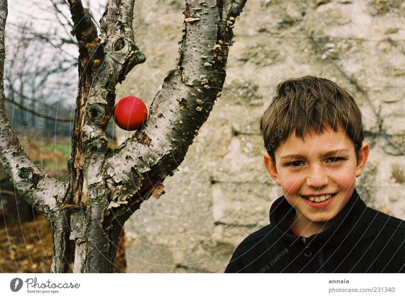 surprise egg Boy (child) Infancy Life 8 - 13 years Child Happiness Joie de vivre (Vitality) Easter Easter egg Easter Monday Find Tree Surprise Anticipation