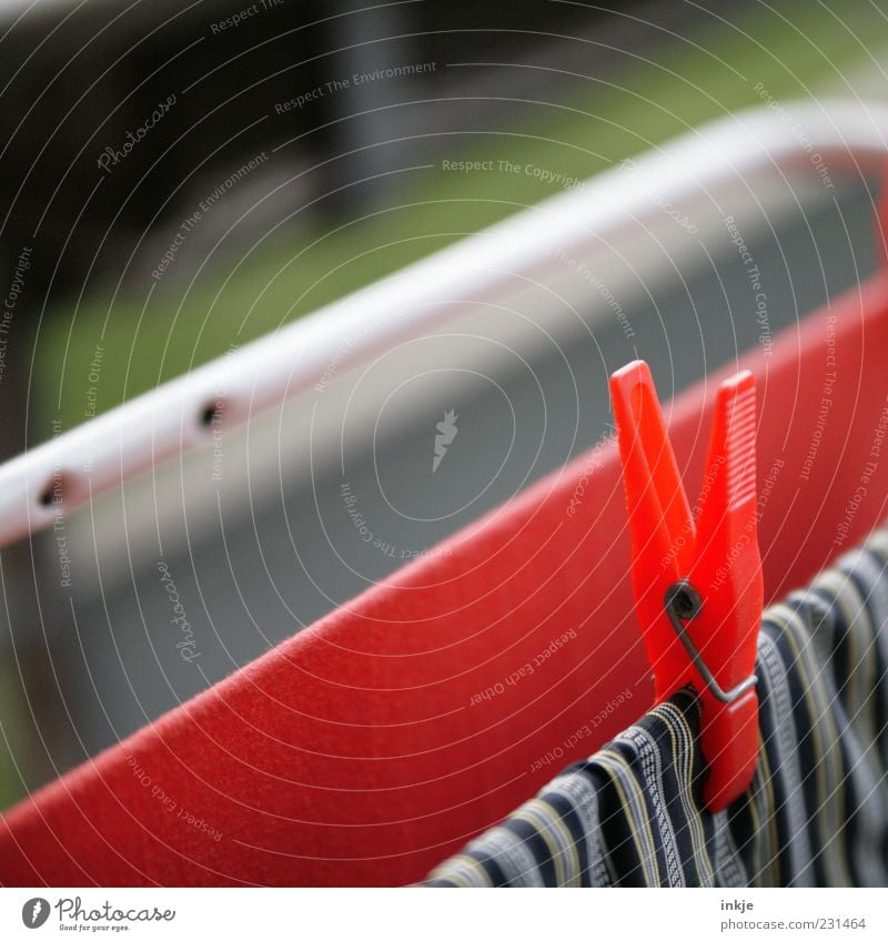 same procedure as every second day, James Clothes peg Cotheshorse Plastic Hang Red Dry Fragrance Laundry Clamp To hold on Photos of everyday life Hang up