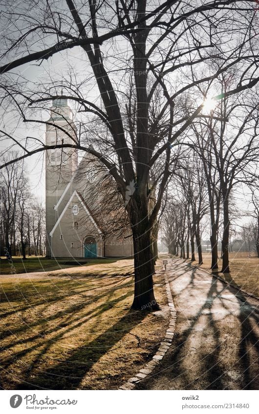 church path Sky Spring Tree Twigs and branches Branch Park Falkenberg Germany Brandenburg Small Town Downtown Old town Church Building Architecture