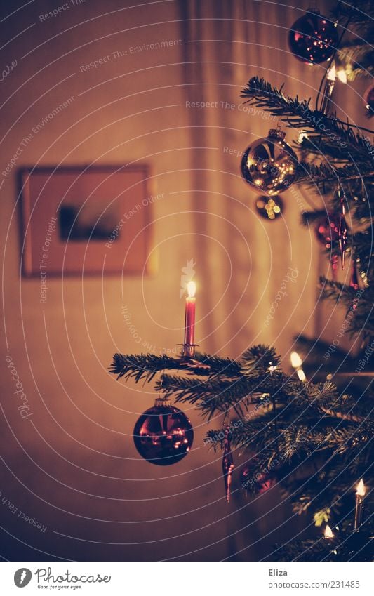 Decorated Christmas tree with burning candle and Christmas tree balls in the living room shoulder stand Glitter Ball Ambient Pensive Living room Candlelight