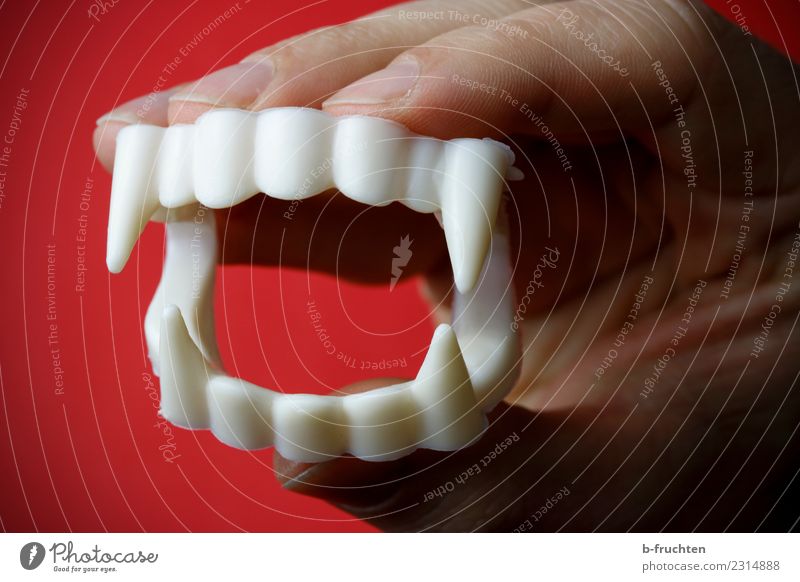 snappish Teeth Fingers Plastic To hold on Threat Dark Creepy Red White Anger Bizarre Carnival Vampire vampire teeth Requisite Set of teeth Bite Dracula