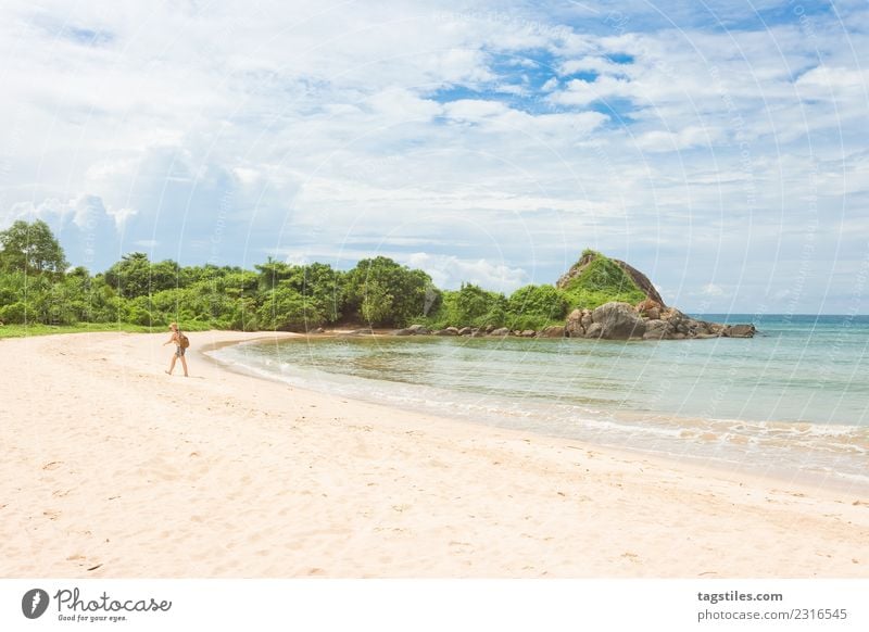 Balapitiya - A woman in a bay at the beach of Balapitiya Asia Bay Beach Bushes Calm calming Coast Woman Idyll Illuminate Landscape Leaf Natural Nature Ocean