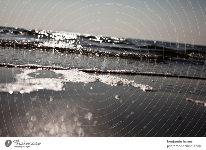 Day at the sea Water Cloudless sky Waves Beach Baltic Sea Ocean Fluid Cold Wet Serene Calm Relaxation Vacation & Travel Freedom Time Colour photo Exterior shot