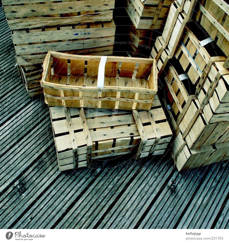 Hunters and Collectors Basket Harvest Wood Collection Colour photo Exterior shot Deserted Light Shadow Bird's-eye view Empty Stack Many