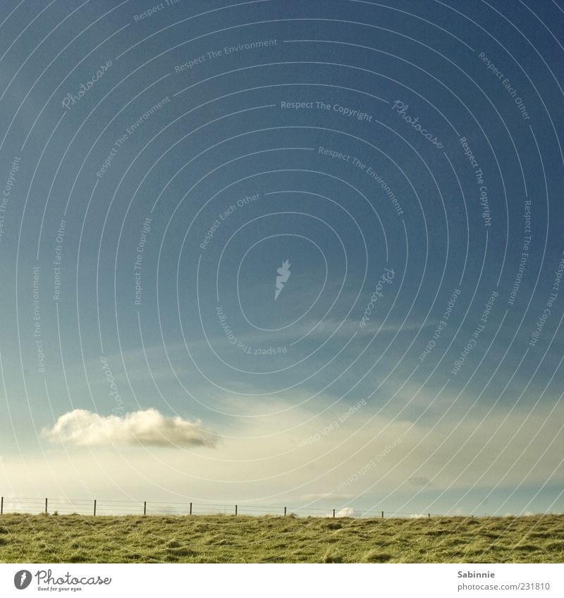 cloud journey Nature Landscape Earth Sky Clouds Weather Beautiful weather Grass Meadow Field Hill Coast Bullers of Buchan Scotland Fence Wooden stake Infinity