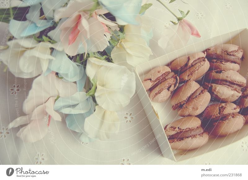 Fleurs et macarons II Dessert Candy Chocolate Packaging Carton Artificial flowers Kitsch Colour photo Interior shot Light Baked goods Cookie Delicious Appetite