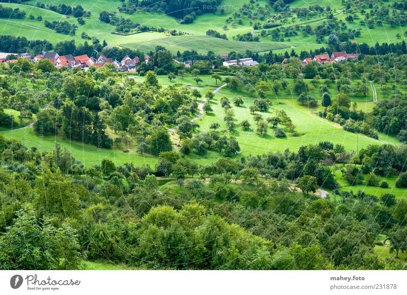 's Ländle Vacation & Travel Nature Landscape Summer Climate Beautiful weather Meadow Forest Hill Calm Tourism Baden-Wuerttemberg Village Swabian Land Feature